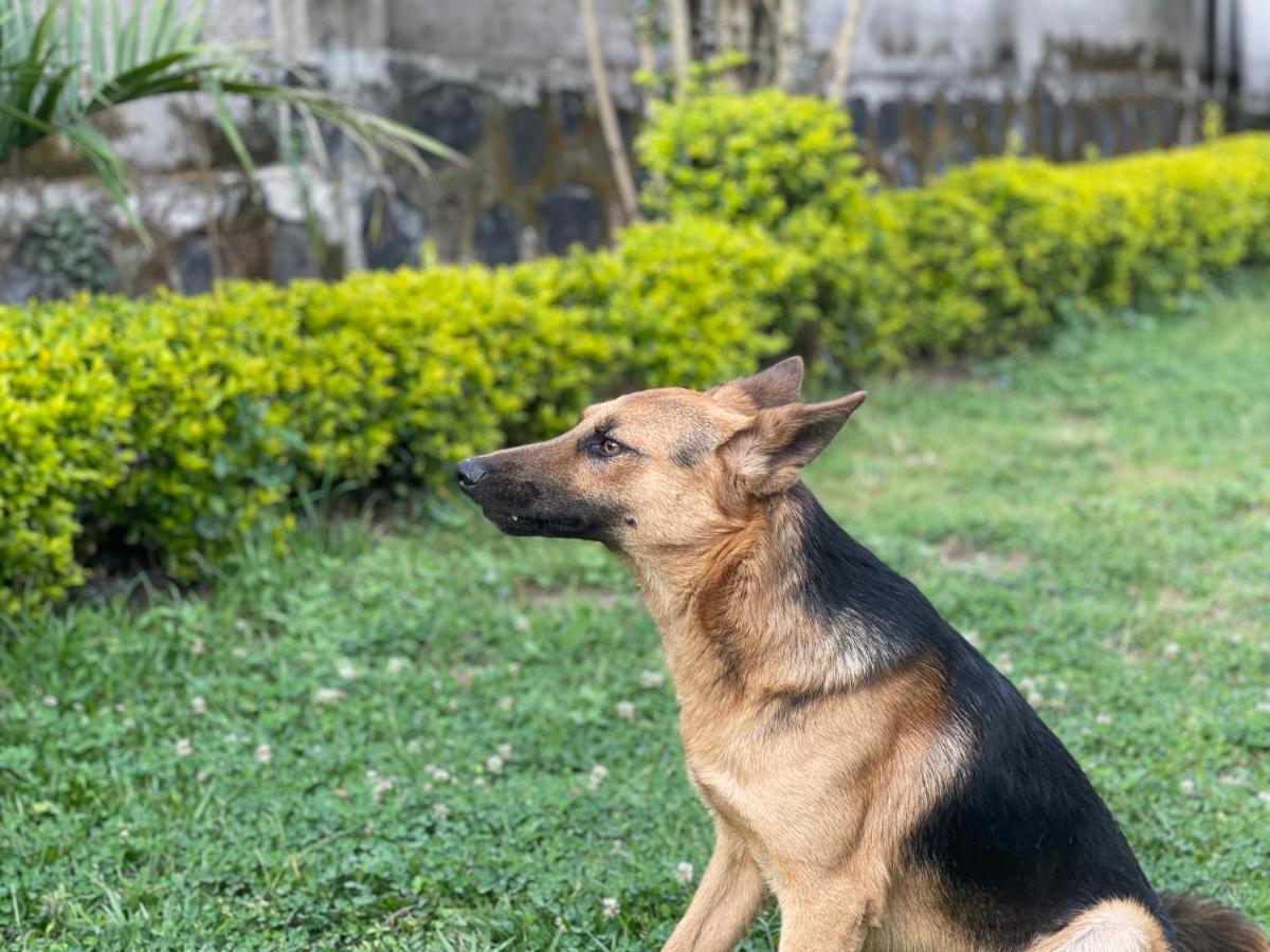 Virunga Homes Ruhengeri 外观 照片
