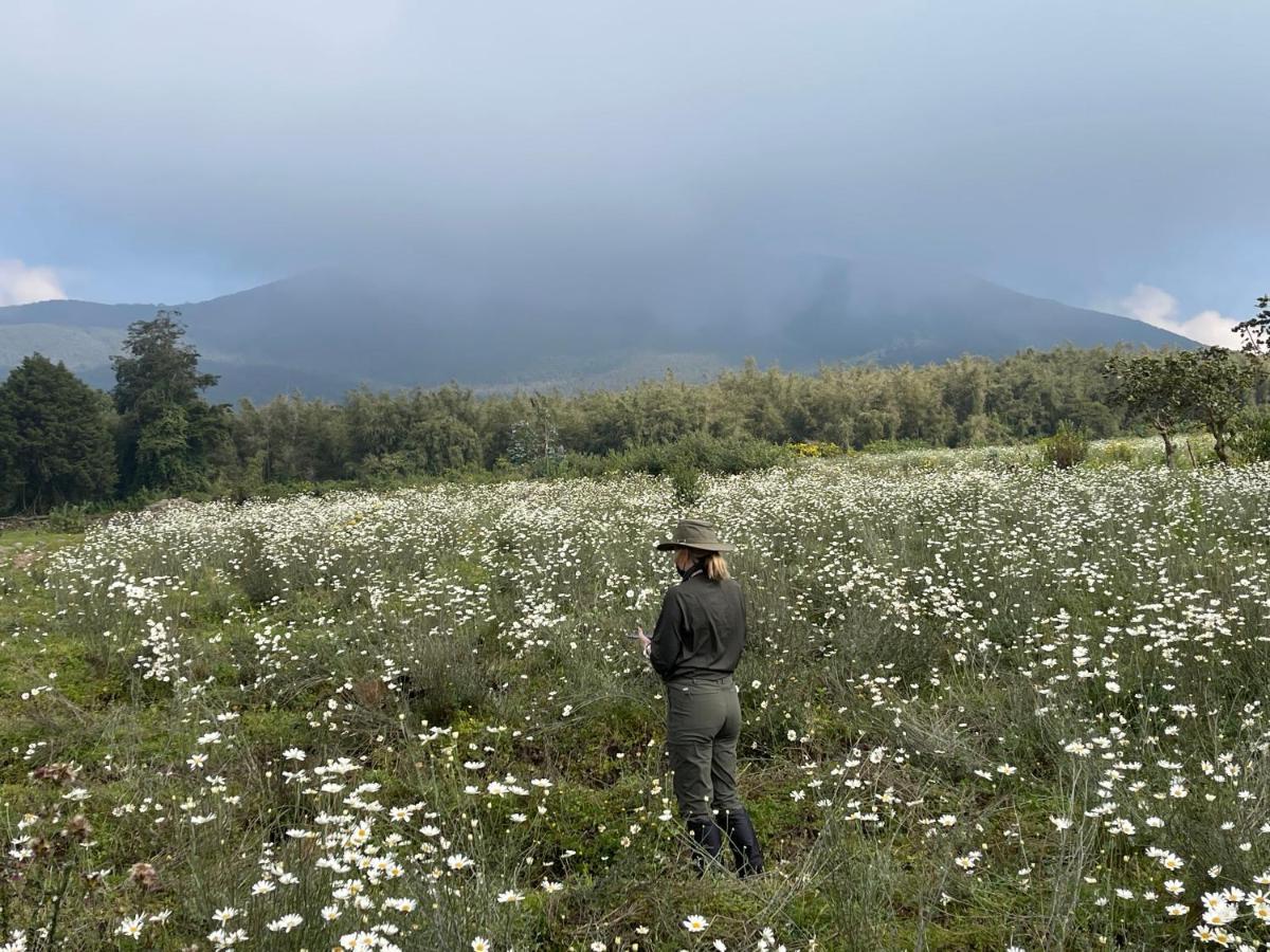 Virunga Homes Ruhengeri 外观 照片