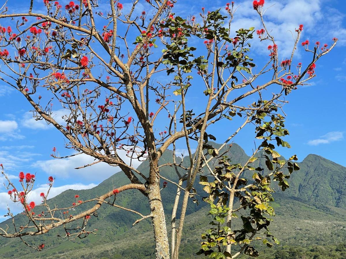 Virunga Homes Ruhengeri 外观 照片