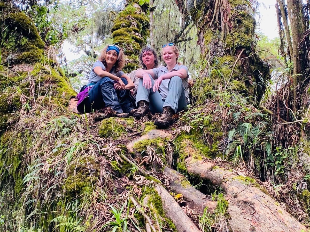 Virunga Homes Ruhengeri 外观 照片